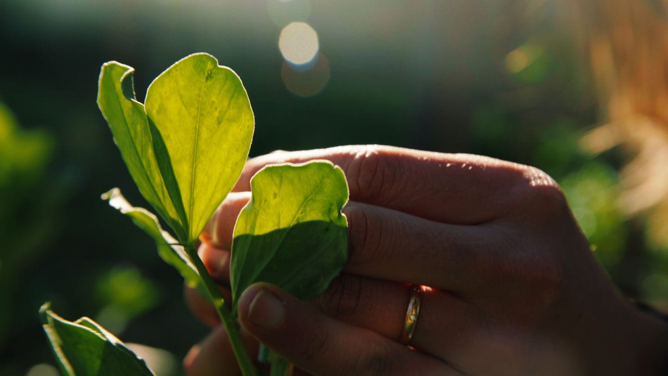 Fotografías Comercial Belevels