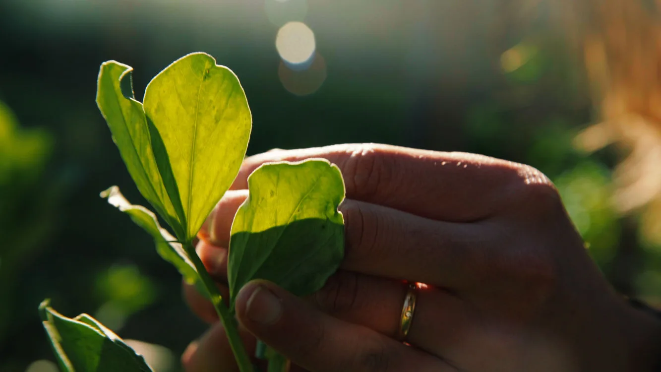 Fotografías Comercial Belevels
