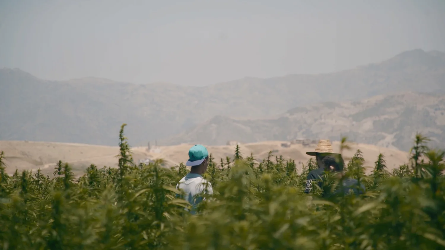 Fotografías La Línea Shadow Narco